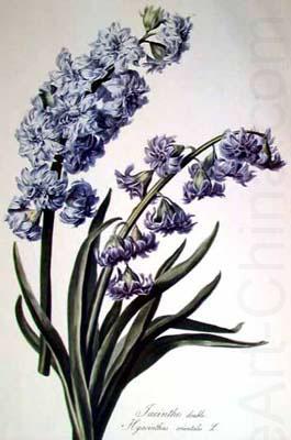 Cornelis van Spaendonck Prints Hyacinth china oil painting image